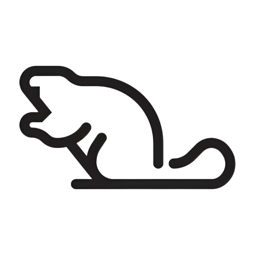 beavers Who are Busy